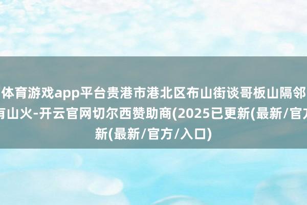 体育游戏app平台贵港市港北区布山街谈哥板山隔邻发生所有山火-开云官网切尔西赞助商(2025已更新(最新/官方/入口)