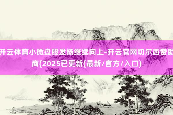 开云体育小微盘股发扬继续向上-开云官网切尔西赞助商(2025已更新(最新/官方/入口)
