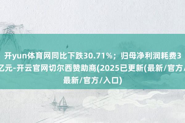 开yun体育网同比下跌30.71%；归母净利润耗费31.96亿元-开云官网切尔西赞助商(2025已更新(最新/官方/入口)