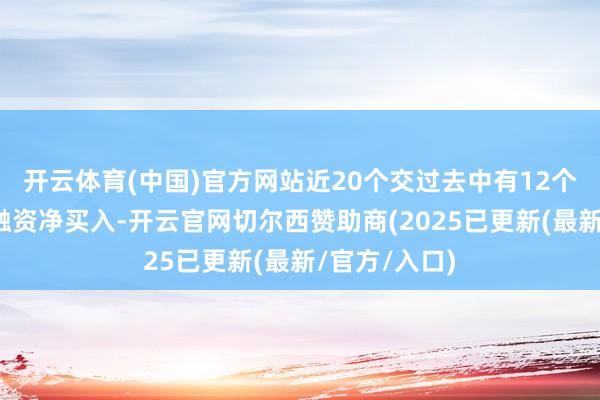 开云体育(中国)官方网站近20个交过去中有12个交过去出现融资净买入-开云官网切尔西赞助商(2025已更新(最新/官方/入口)